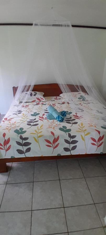 Penu Maurua 1 Daire Te-Fare-Arii Oda fotoğraf