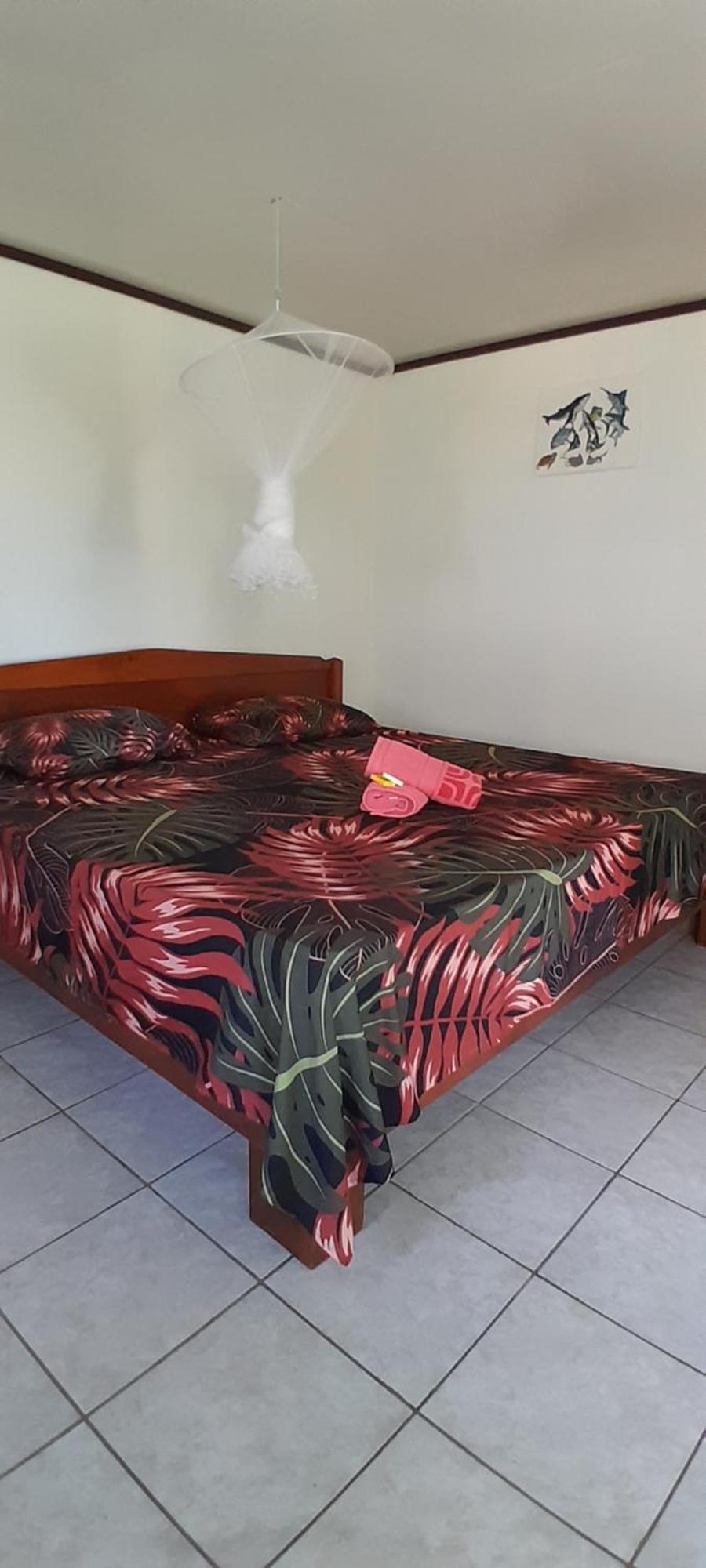 Penu Maurua 1 Daire Te-Fare-Arii Dış mekan fotoğraf